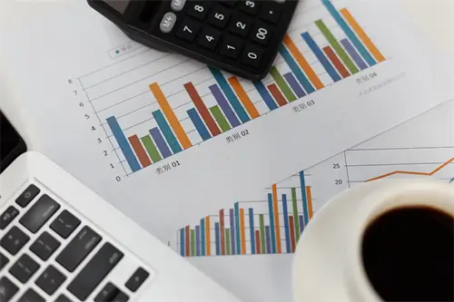 中南大学施琳简介