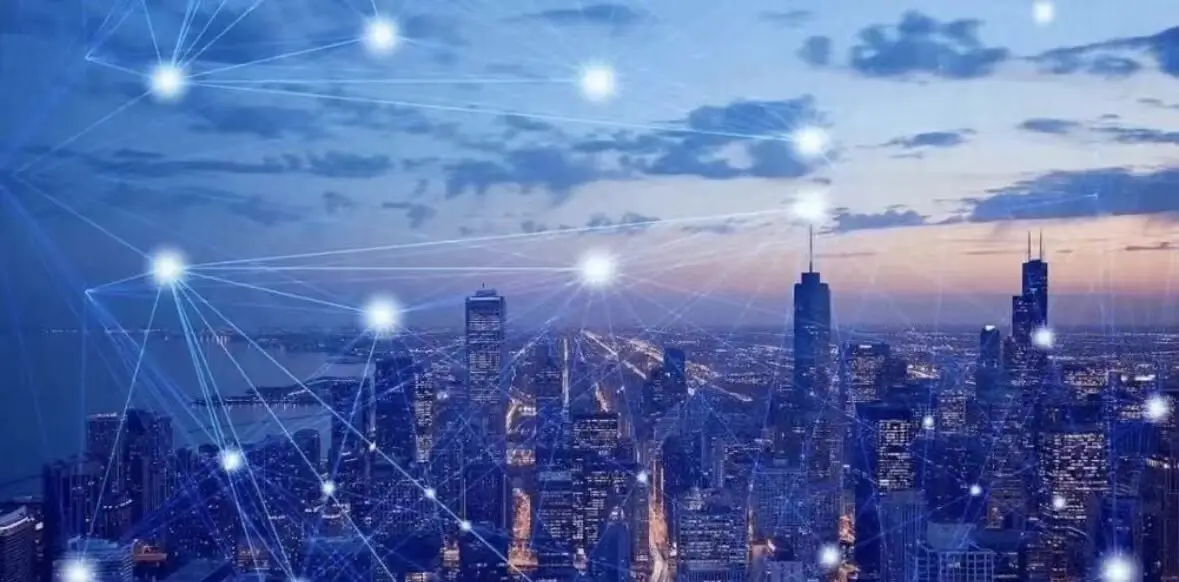 武汉大学张中迪简介