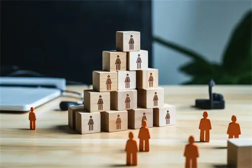 武汉大学李霖简介